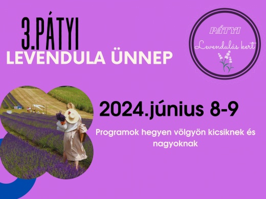 Levendulaszedés Páty 2024. Pátyi Levendula Ünnep