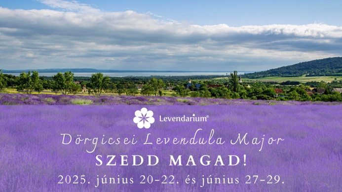 Levendula szedd magad 2025 Dörgicse