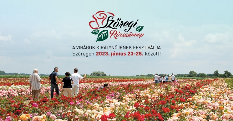 Szőregi Rózsaünnep 2023. Rózsafesztivál rózsakiállítással Szegeden millió-millió rózsaszállal