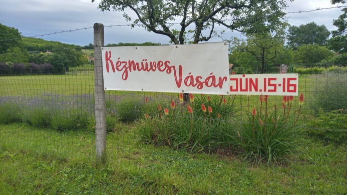 Levendula szüret Pannonhalma 2024