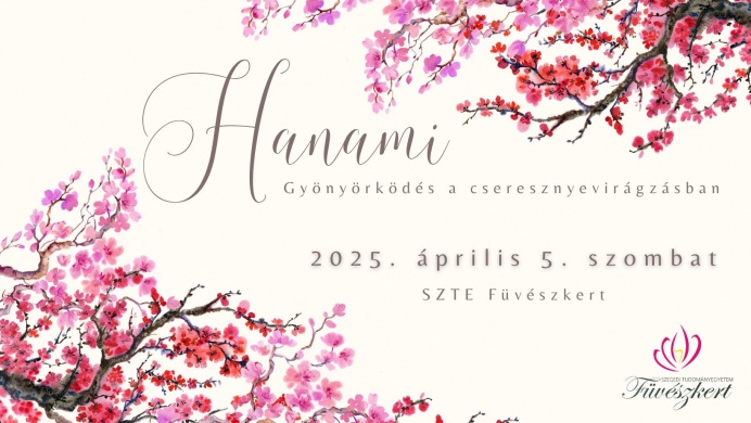 Cseresznyevirágzás 2023. Hanami, gyönyörködés a cseresznyevirágzásban Szegedi Füvészkertben
