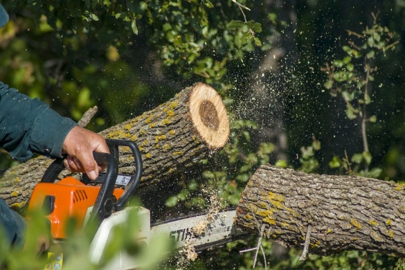 Fakitermelő verseny. Stihl Országos Fakitermelő versenysorozat