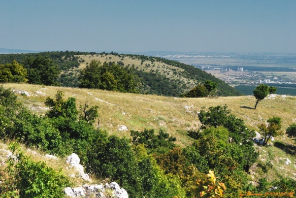 Európai Geoparkok Hete 2023. Irány a Balaton-felvidéki Nemzeti Park