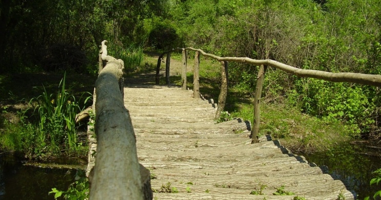 Tiszaörvényi Tiszavirág Ártéri Sétaút, gyalogtúra egész évben a Tisza-tónál
