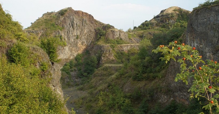 Botanikai túra a Ság hegyre a celldömölki Kemenes Vulkán Park szervezésében