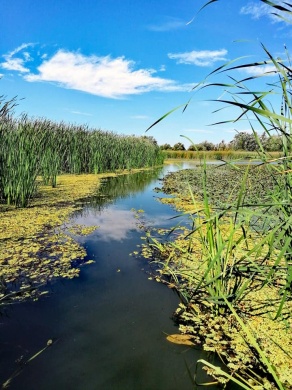 Tisza-tavi csónaktúrák egyénileg a Szabics Kikötőben