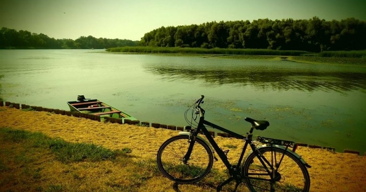 Kerékpártúra a Tisza-tó körül kettesben, családdal, csoportosan, szállással a Tisza Balneum Hotelben