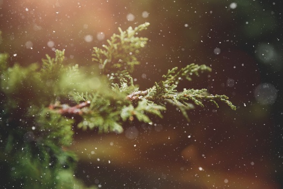 Tata Advent 2024. Programok, események, rendezvények