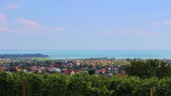 Csopak Napok 