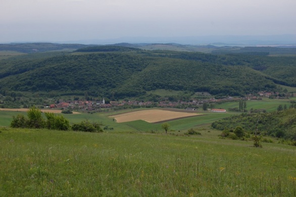 Szőlősardó Falunap 2024