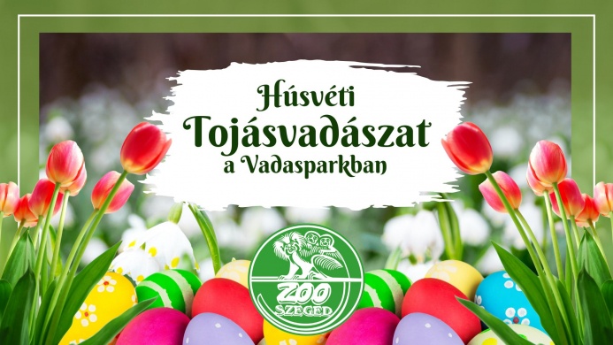 Húsvéti programok Szeged 2025. Események, rendezvények