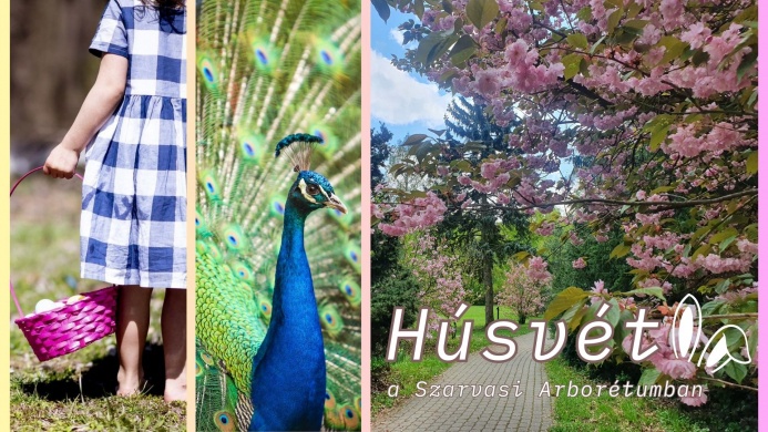 Húsvét a Szarvasi Arborétumban 2025