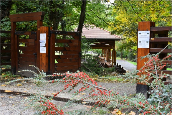 Diósjenő Pünkösd 2024. Kirándulás a Diósjenői Erdei Szabadidőparkba