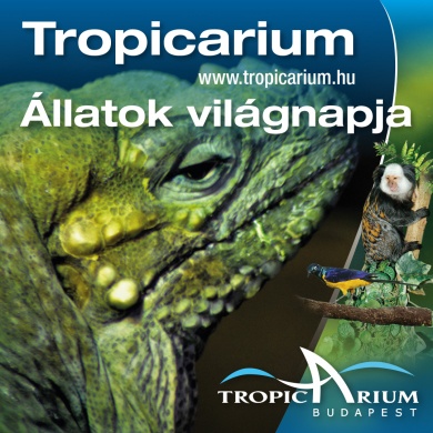 Állatok Világnapja Tropicarium Budapest 