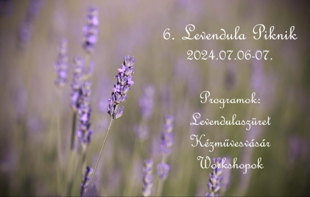 Levendula Piknik Szatymaz 2024
