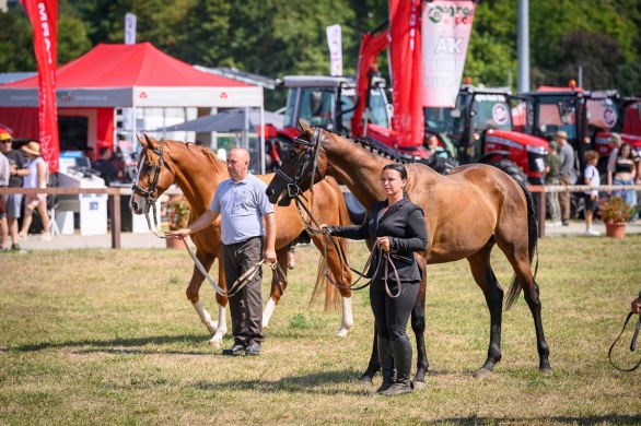 323-farmer-expo-nemzetkozi-mezogazdasagi