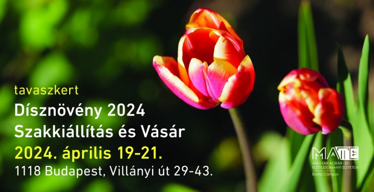 Dísznövény Szakkiállítás és Vásár 2022. Tavaszkert a Budai Arborétumban
