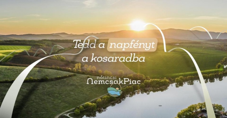 Piac Nőtincs 2025. Termelői és kézműves vásár