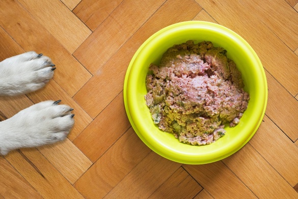 Tippek gyógyszer és táplálékkiegészítő beadására válogatós kutyusoknak