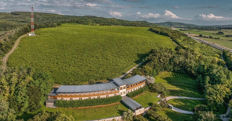 Ikon Borászat Látrány