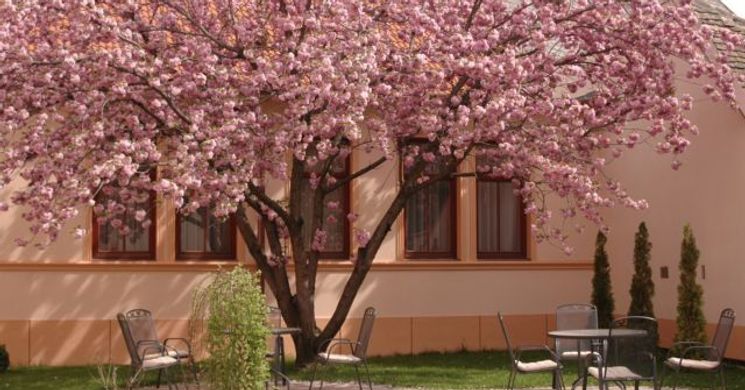 Pannon Hotel Mohács