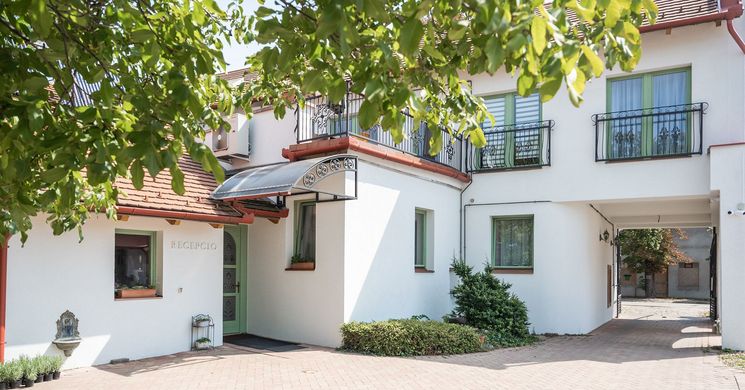 Boutique Hotel LuDo Makó