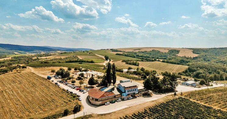 Hilltop Borbirtok & Étterem