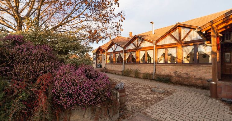 Borostyánkert Vendéglő Panzió Tekéző Sitke