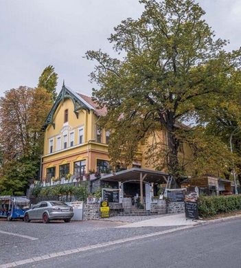 Hotel Neptun Badacsony