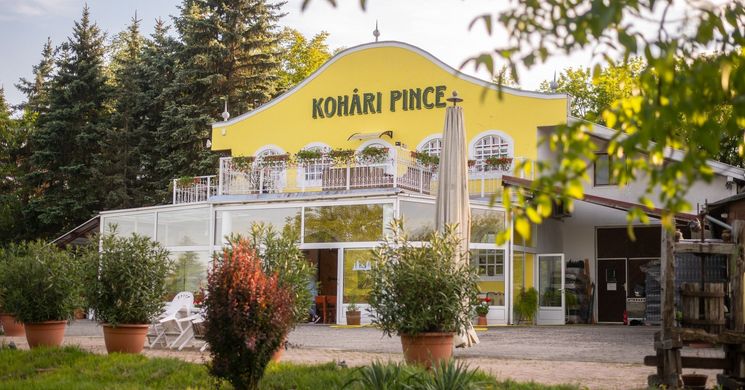 Kohári Pince Vendégházak Egerszalók
