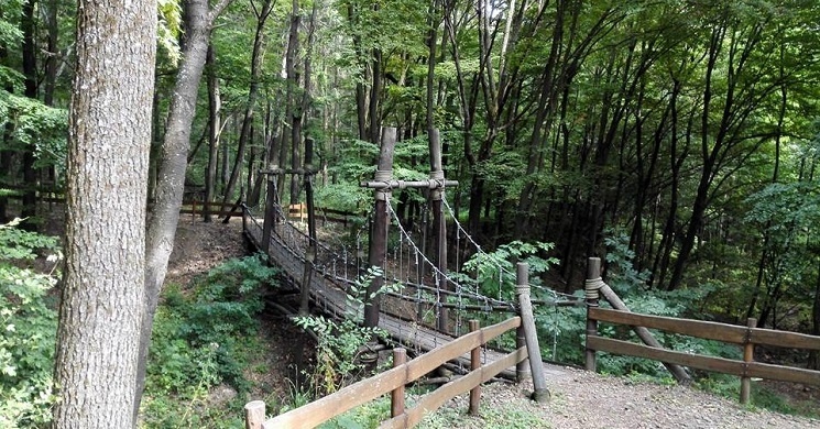 Diósjenői Erdei Szabadidőpark