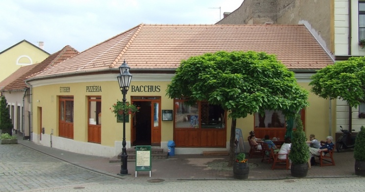 Bacchus Étterem Tokaj