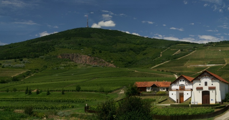 Tokaj-Hétszőlő Szőlőbirtok