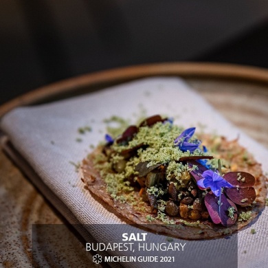 SALT Budapest