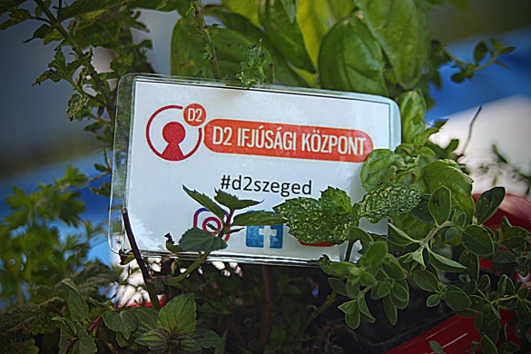 D2 Ifjúsági Központ Szeged
