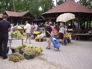 Sopron termelői piac