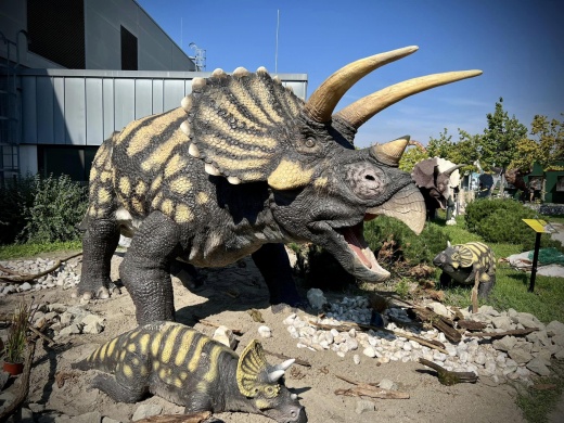 DinoPark KÖKI Budapest- Magyarország első állandó dinoszaurusz kiállítása