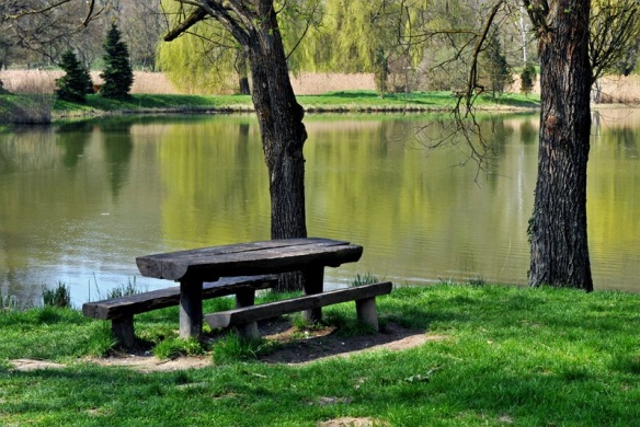 Malomvölgyi Tó és Parkerdő Pécs