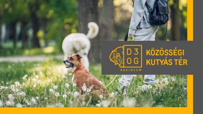 DOG3 Kutyás Közösségi Tér Budapest