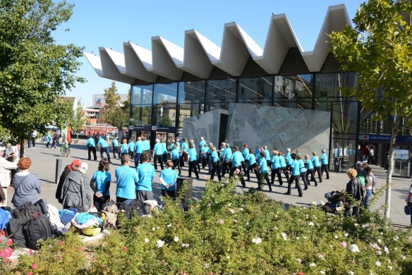 Magyarországi Taoista Tai Chi Társaság Budapest