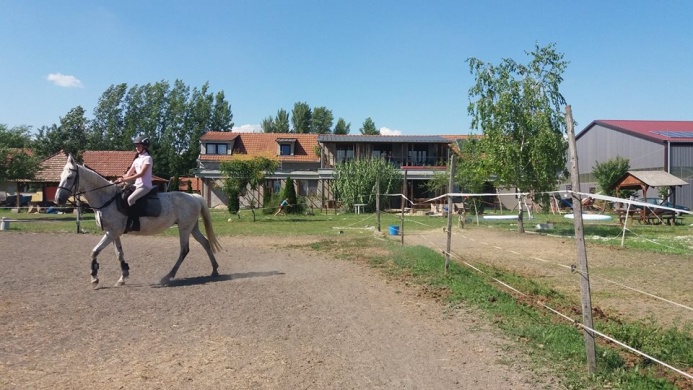 Silver Horse Ranch Békési Szabadidős Lovasklub