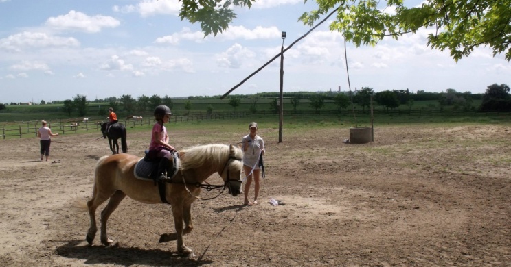 Kordik Farm Kecskemét