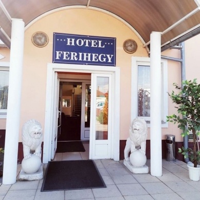 Hotel Ferihegy