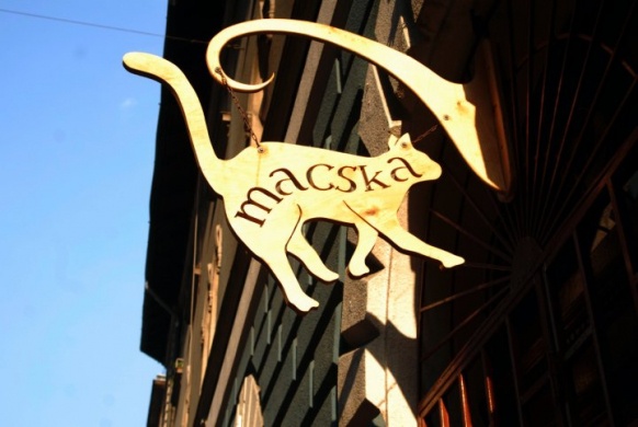 Macska Budapest