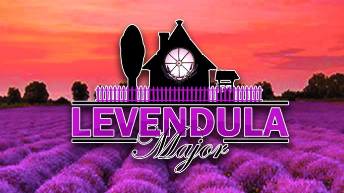 Levendula Major Mezőhegyes