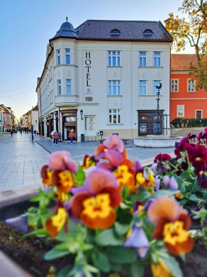 Hotel Domus  Collis**** Győr