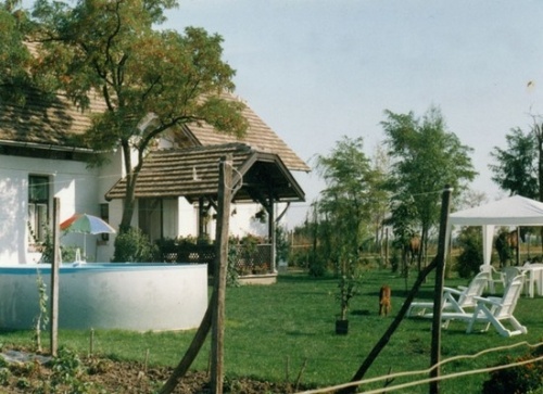 Fekete Tanya