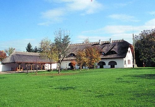 Arany Ménes Panzió és Élménypark