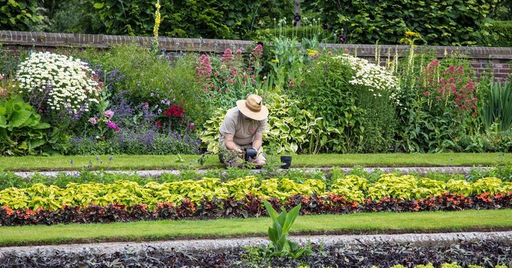 Hatékony tápanyagellátás a növények egészségéért