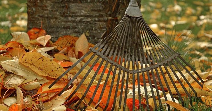 Hogyan ápold a gyepet az őszi hónapokban?